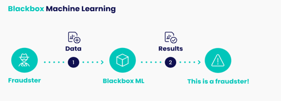 Unlocking The Secrets Of Black Box Models In Machine Learning