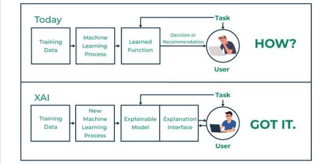 Explainable AI (XAI) in LLMs: Developing Methods to Interpret and Explain the Decisions and Outputs of Large Language Models